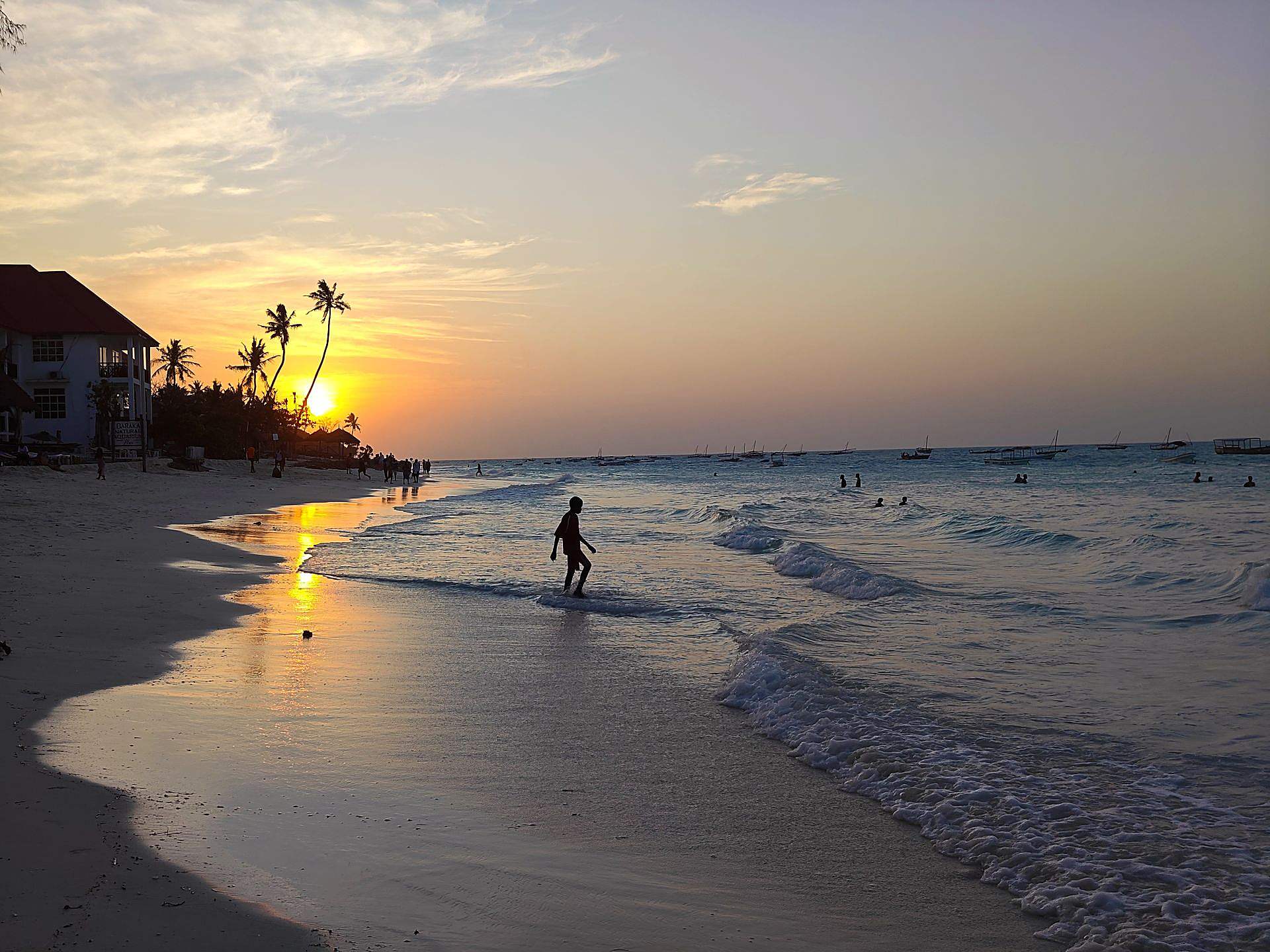 Palms at sunset on a Zanzibar beach
